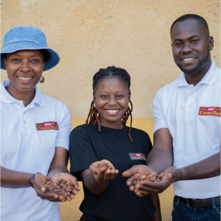 three people holding cocoa beans